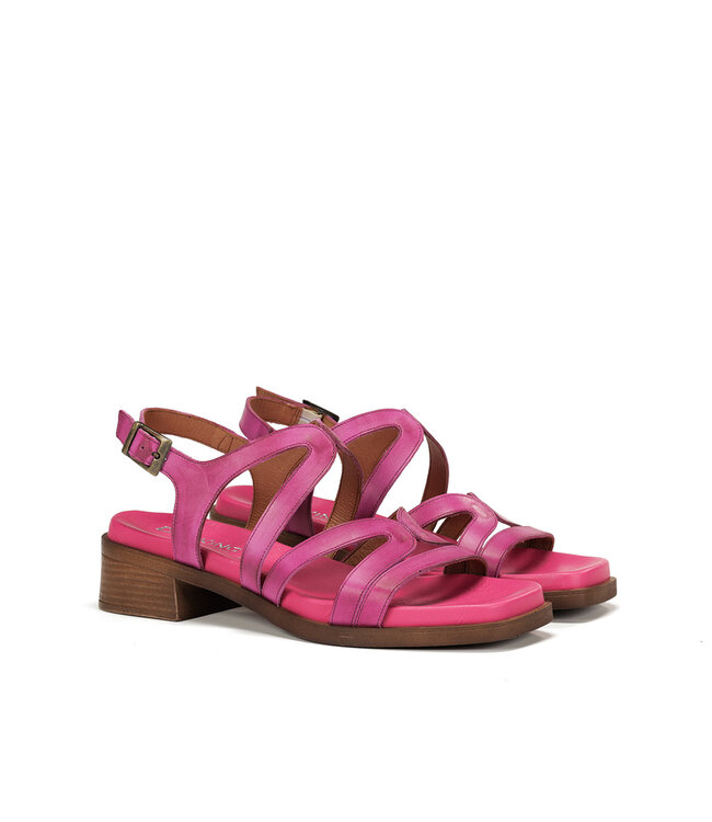 Dorking by Fluchos Poleo D9208 Fucshia