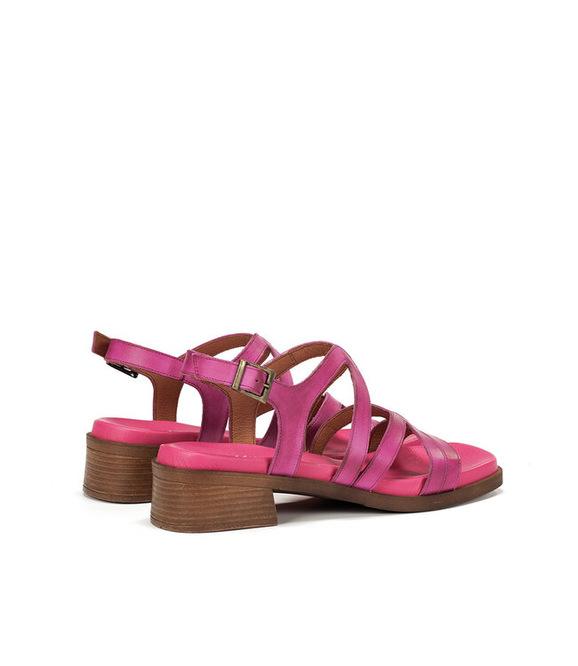 Dorking by Fluchos Poleo D9208 Fucshia