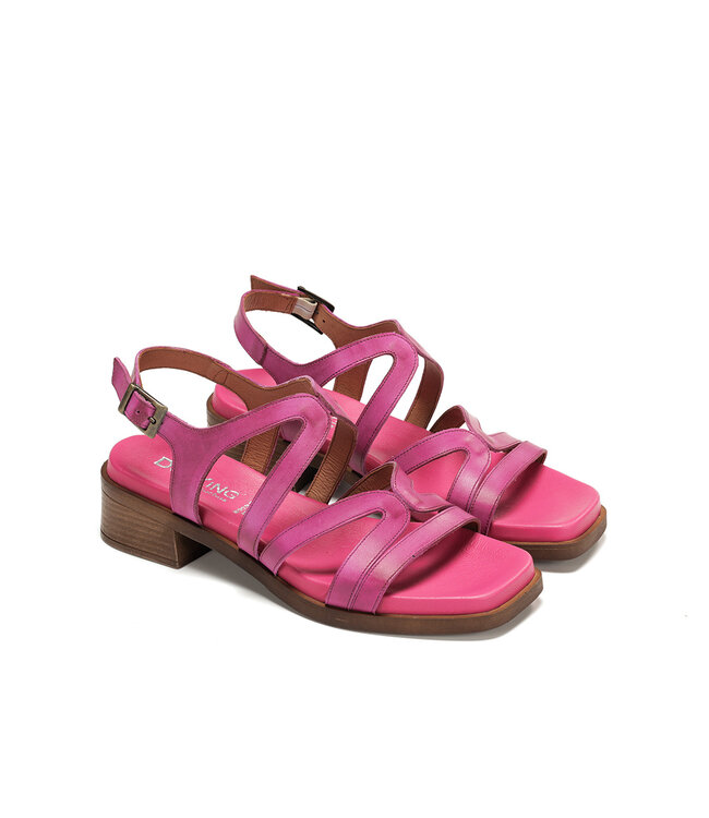Dorking by Fluchos Poleo D9208 Fucshia