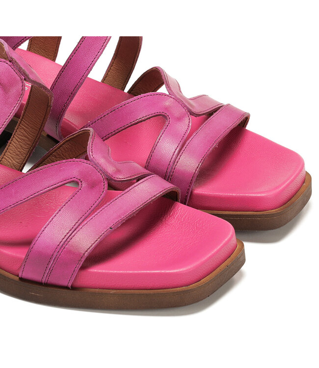 Dorking by Fluchos Poleo D9208 Fucshia