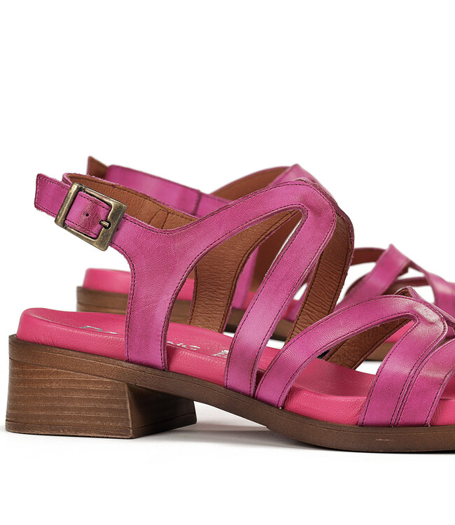 Dorking by Fluchos Poleo D9208 Fucshia