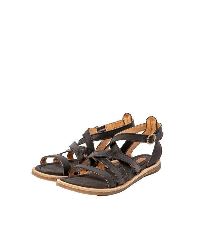 El Naturalista Tonami 5690 Black