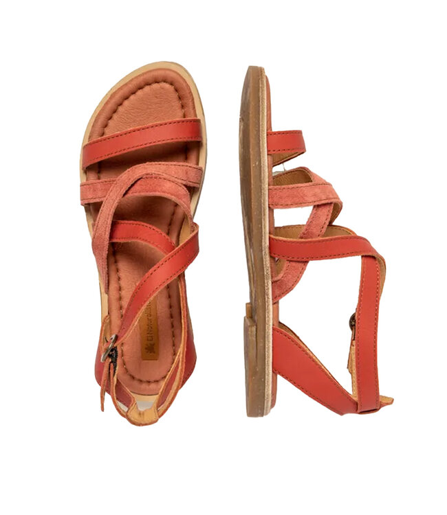 El Naturalista Tonami 5690 Raspberry