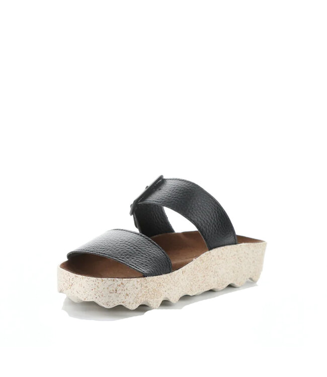 Asportuguesas COLY225ASP Black