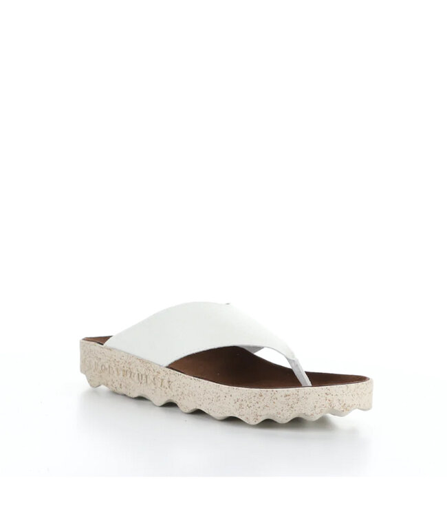 Asportuguesas CAMI223ASP Blanc