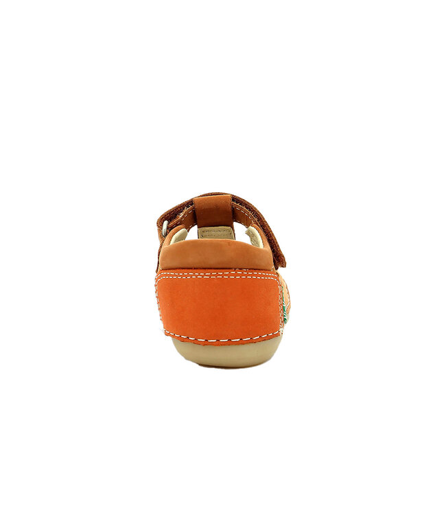 Kickers Sushy Camel / Orange