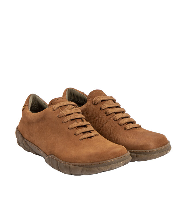 El Naturalista Turtle N5616 Wood