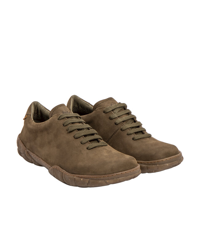 El Naturalista Turtle N5616 Fôret