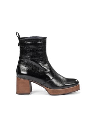 Dorking by Fluchos Cristel D9157 Black