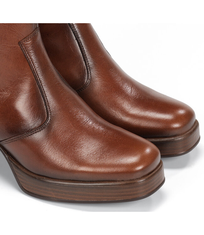 Dorking by Fluchos Cristel  D9157 Brown