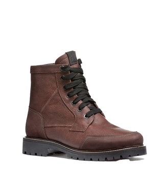 Anfibio Aksel Choco