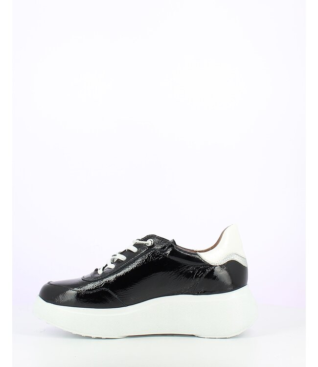 Wonders A-3601 Black