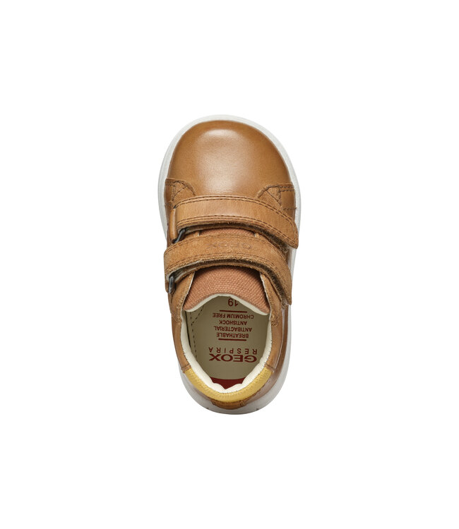 Geox Biglia Caramel / Ocre