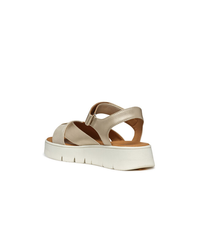 Geox Dandra 40 Light gold / Light taupe