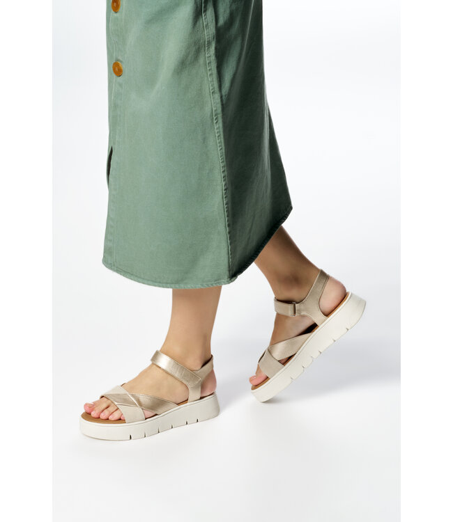 Geox Dandra 40 Light gold / Light taupe