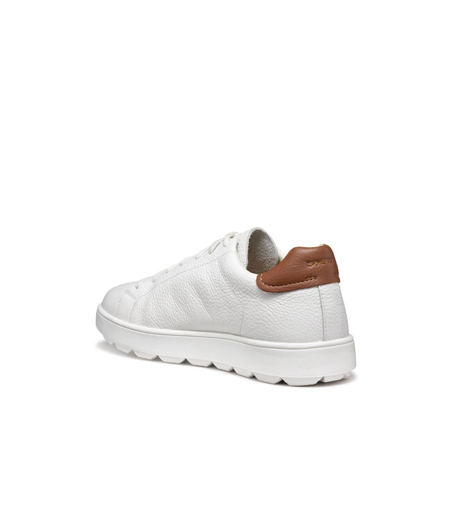 Geox Spherica Ecub-1 Blanc