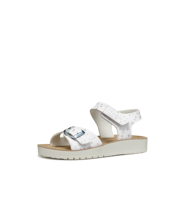 Geox Costarei White