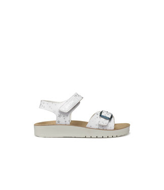 Geox Costarei Blanc