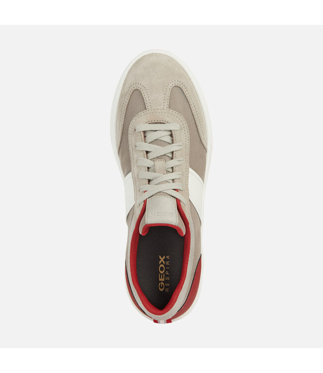 Geox Rieti Gris / Blanc