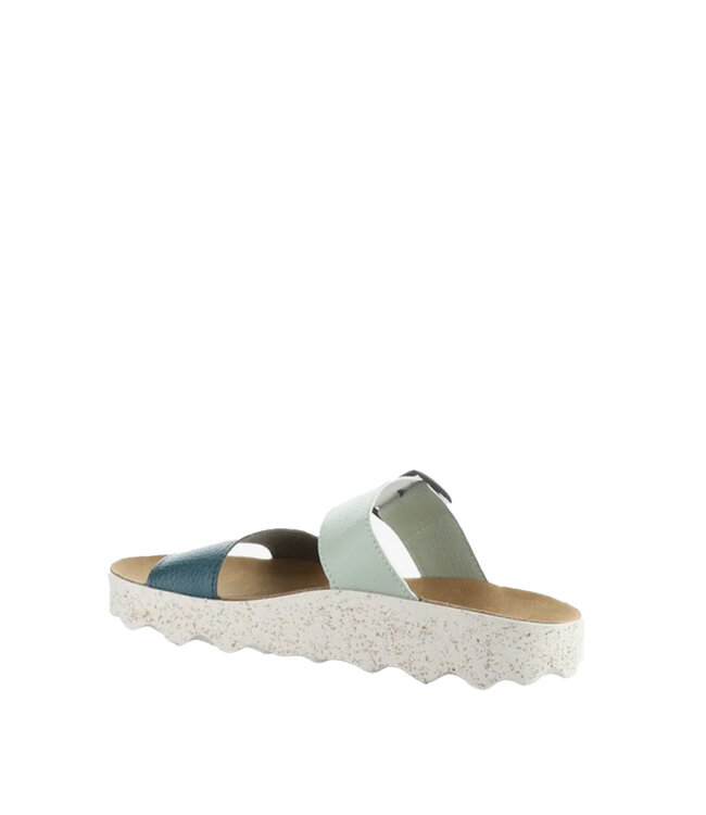 Asportuguesas COLY225ASP Paon/ Menthe