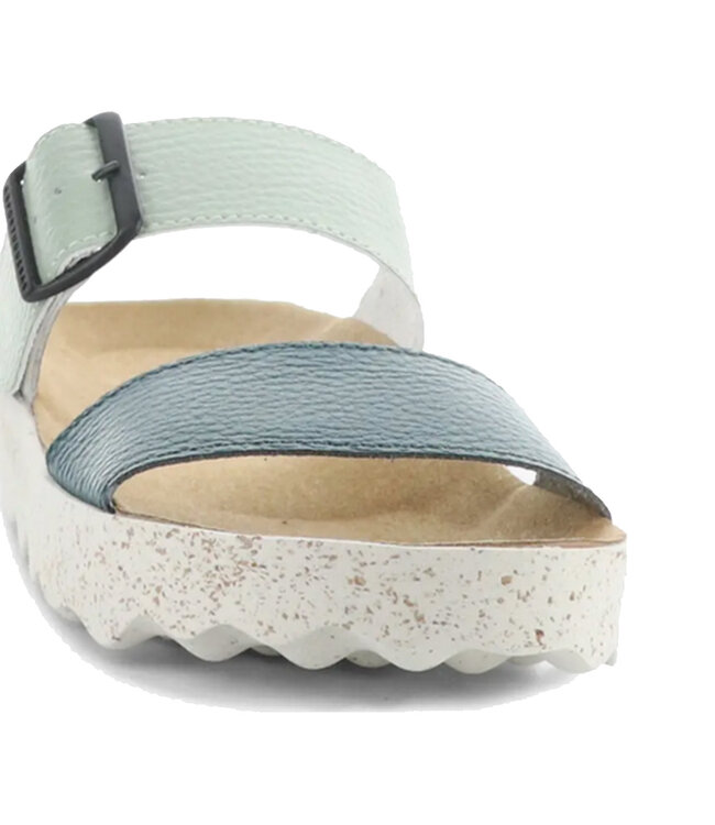 Asportuguesas COLY225ASP Paon/ Menthe