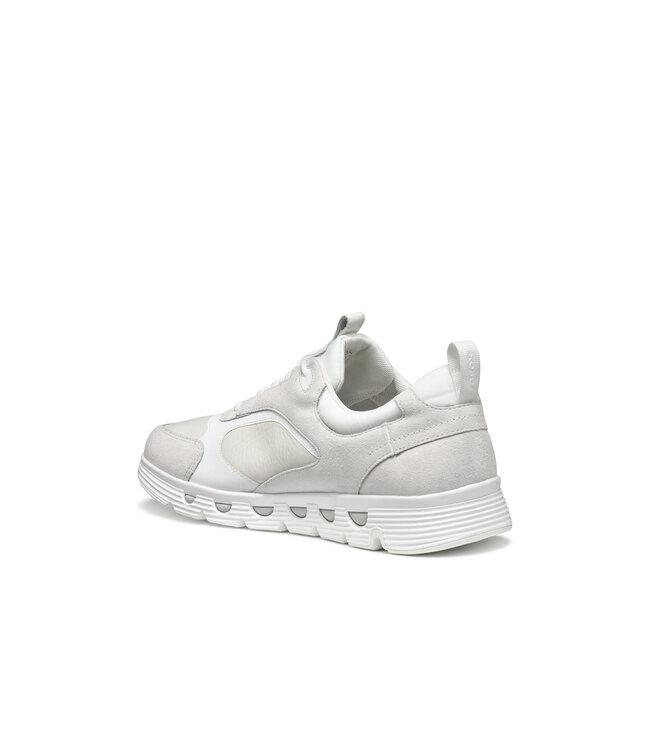 Geox Spherica Ecub-4 Blanc