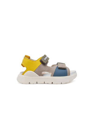 Biomecanics 252227 Grey Multi