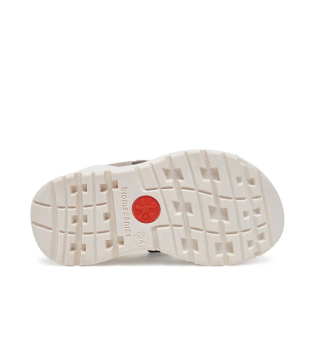 Biomecanics 252227 Grey Multi