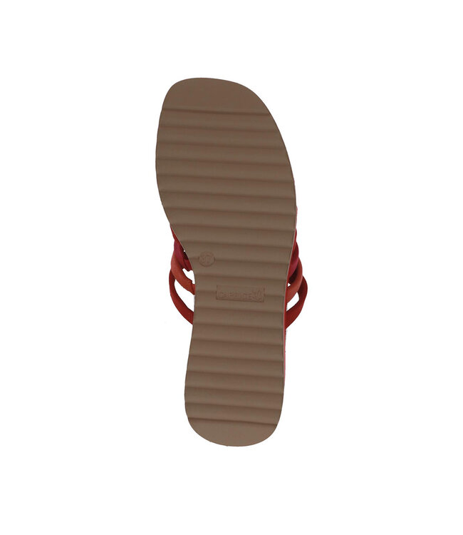 Caprice 27201 Rouge Combo