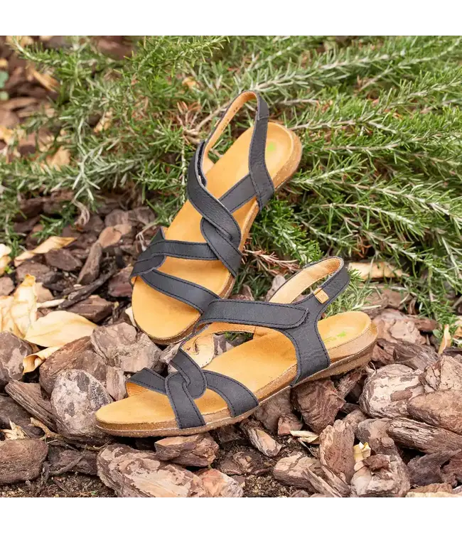 El Naturalista Wakataua N5079 Noir