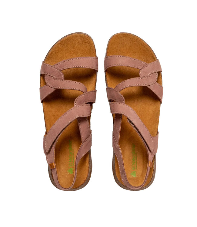 El Naturalista Wakataua N5079 Malva