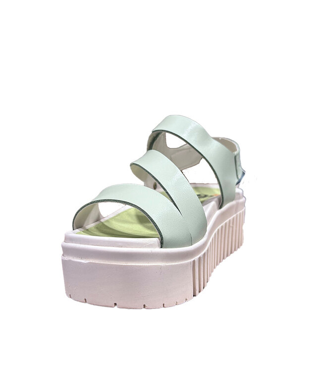 The ART Company 1573 Brighton Lima