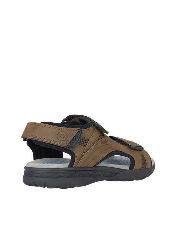 Geox Spherica Ec5 Hommes Café
