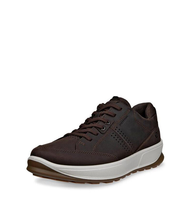 Ecco Byway 2.0 Waterproof Brown