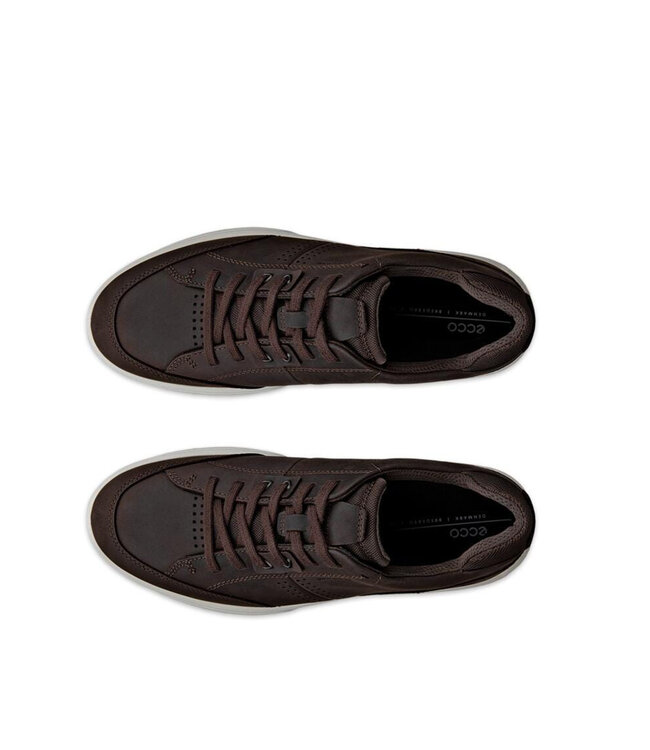 Ecco Byway 2.0 Waterproof Brown