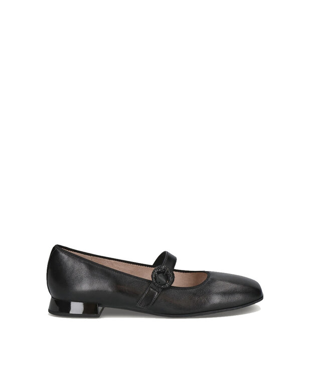 Caprice 22100 Black