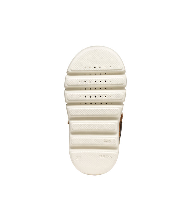 Geox Willaboom abx Jeunes Enfants Tabac / Brun Foncé