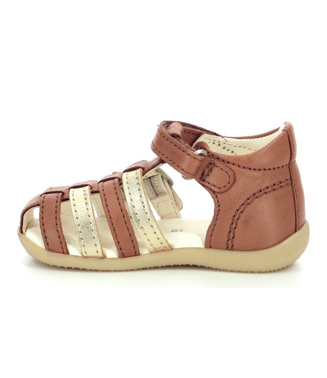 Kickers BIGKRO CAMEL / GOLD