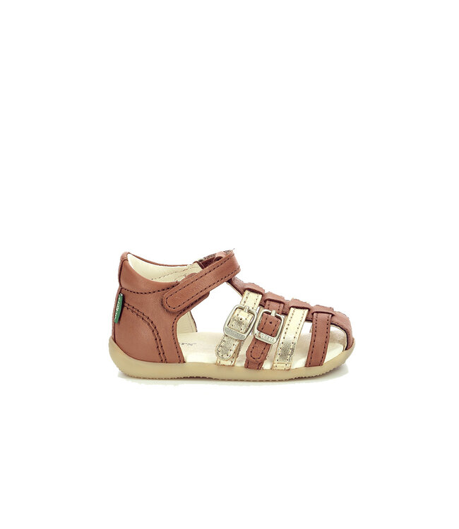 Kickers BIGKRO CAMEL / GOLD