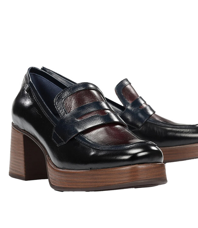 Dorking by Fluchos D9334 Black / Bordeaux