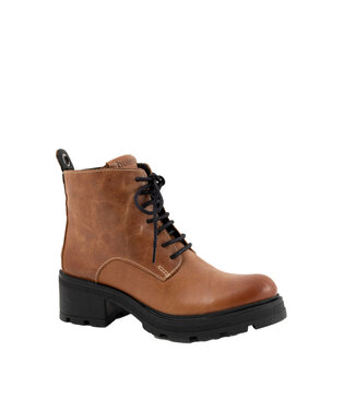 Bueno Hunter Noisette