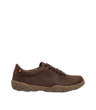 El Naturalista Turtle N5616 Brun