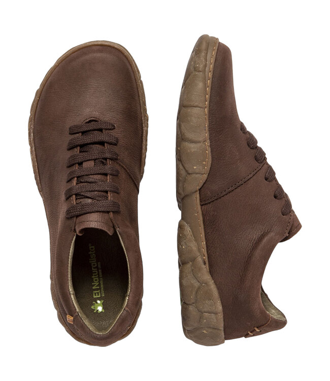 El Naturalista Turtle N5616 Brown