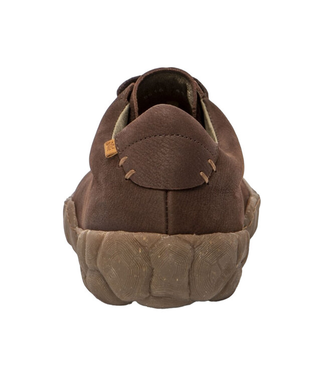 El Naturalista Turtle N5616 Brun