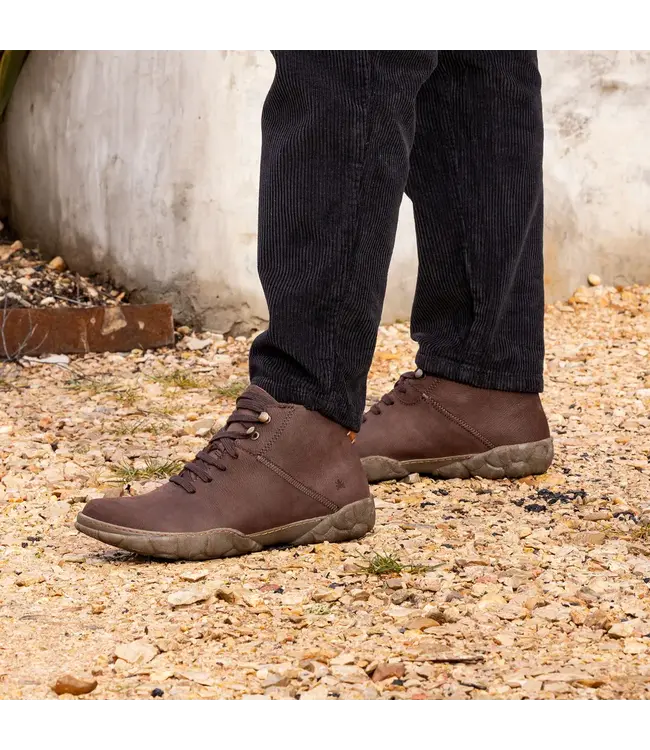 El Naturalista Turtle N5083 Brown