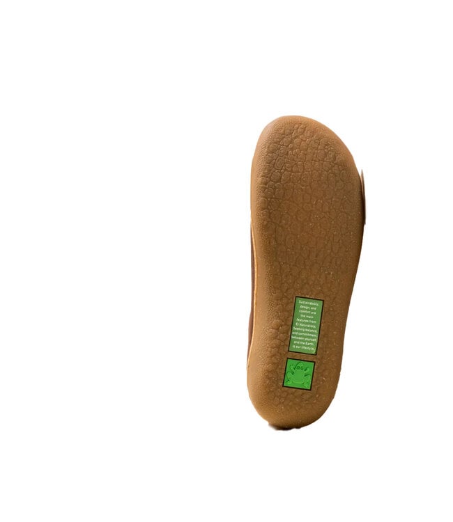 El Naturalista Pawikan N5770 Brun