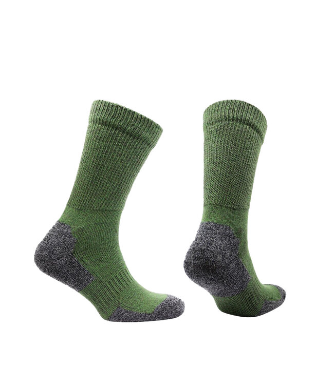 Norfolk Alfie Forêt