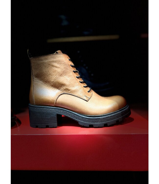 Bueno Hunter Chestnut