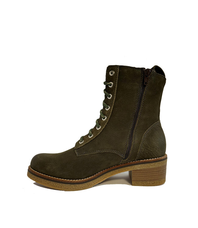 Baerchi Zebra 60303 Cactus