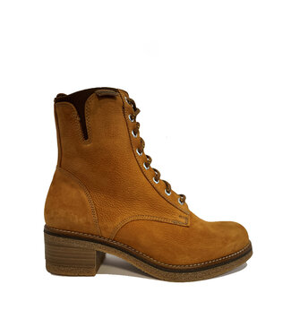 Baerchi Zebra 60303 Tan